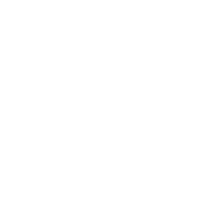 Fiverr Logo